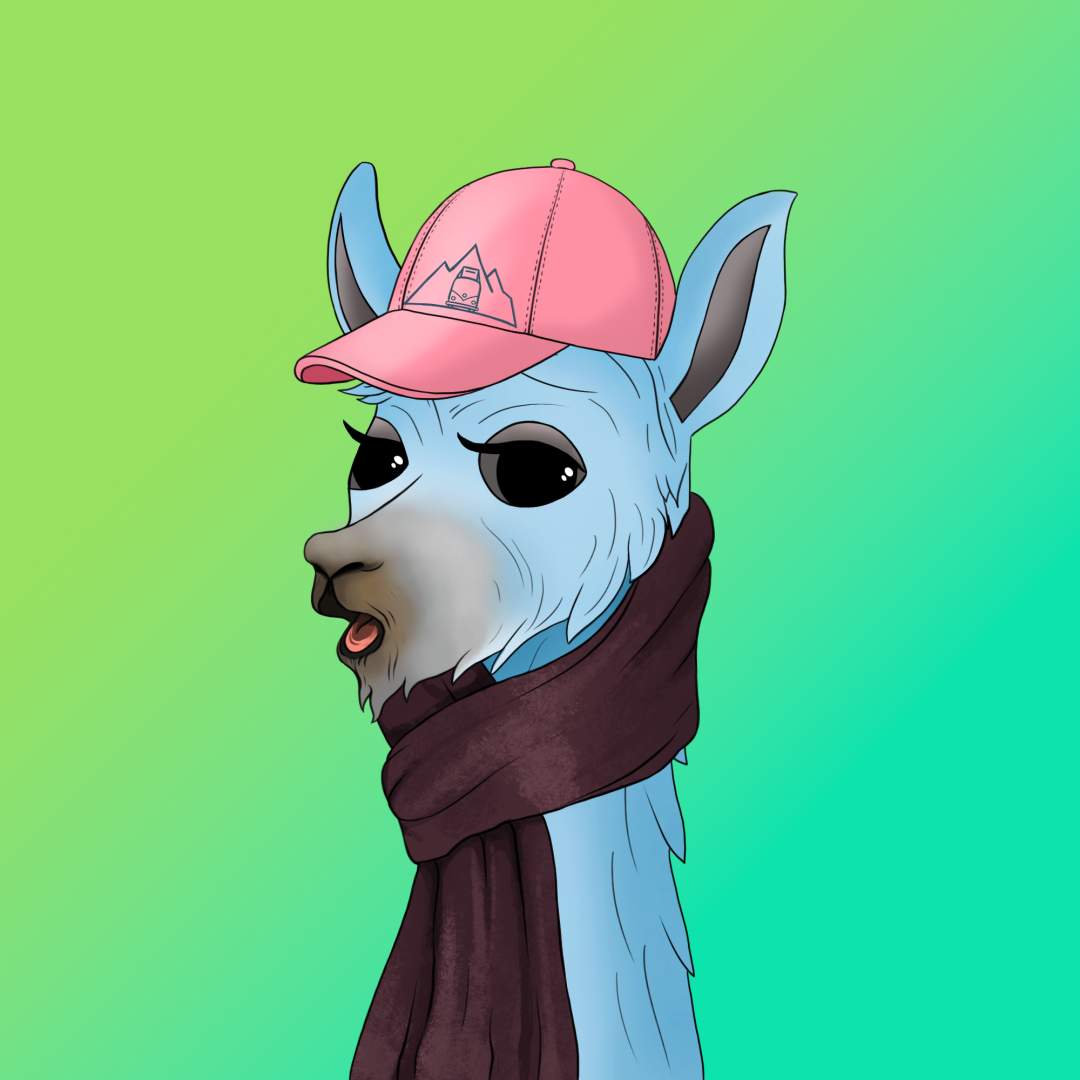 roam_llama_13
