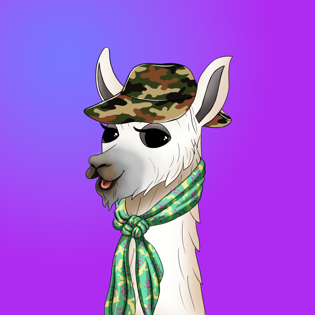 roam_llama_17