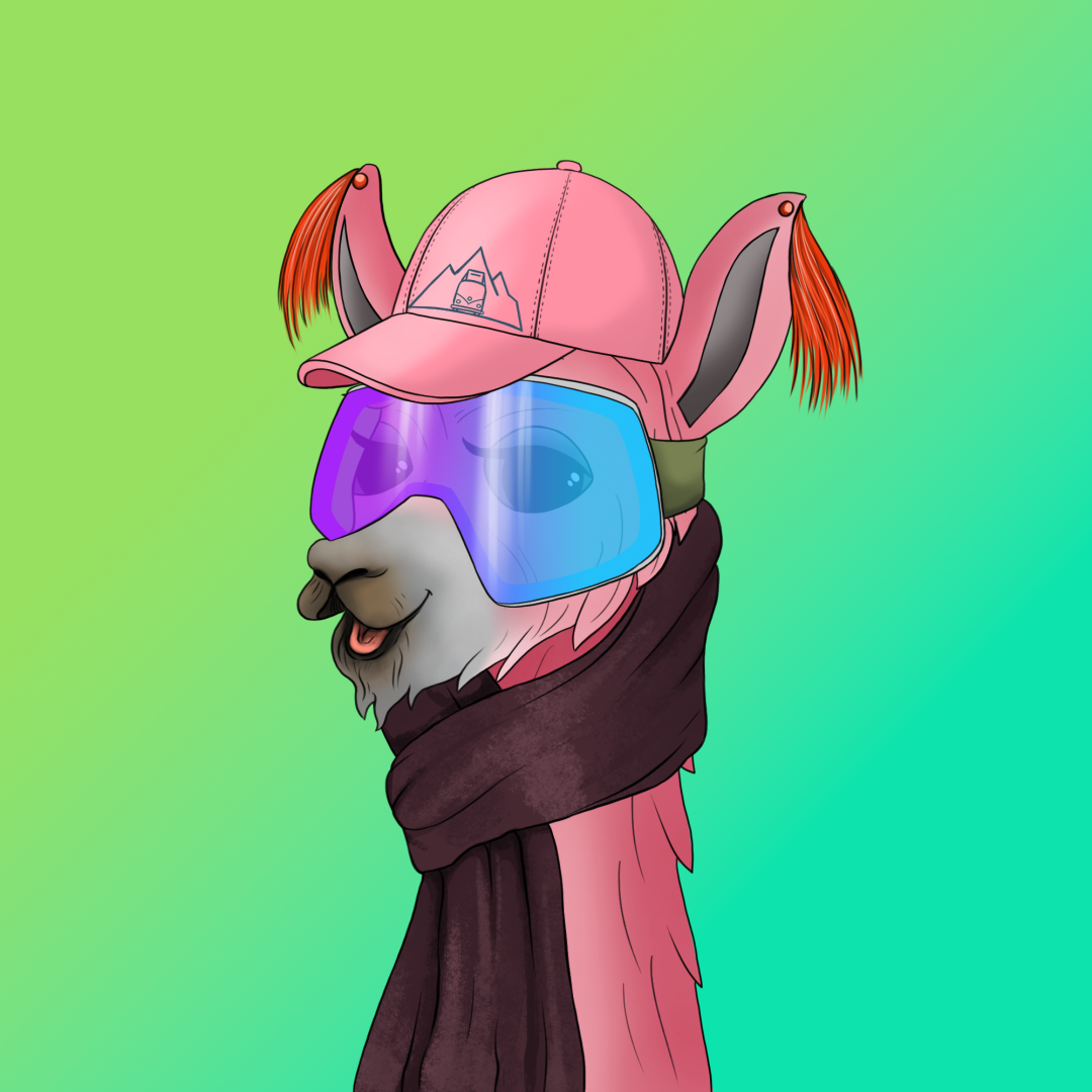 roam_llama_19
