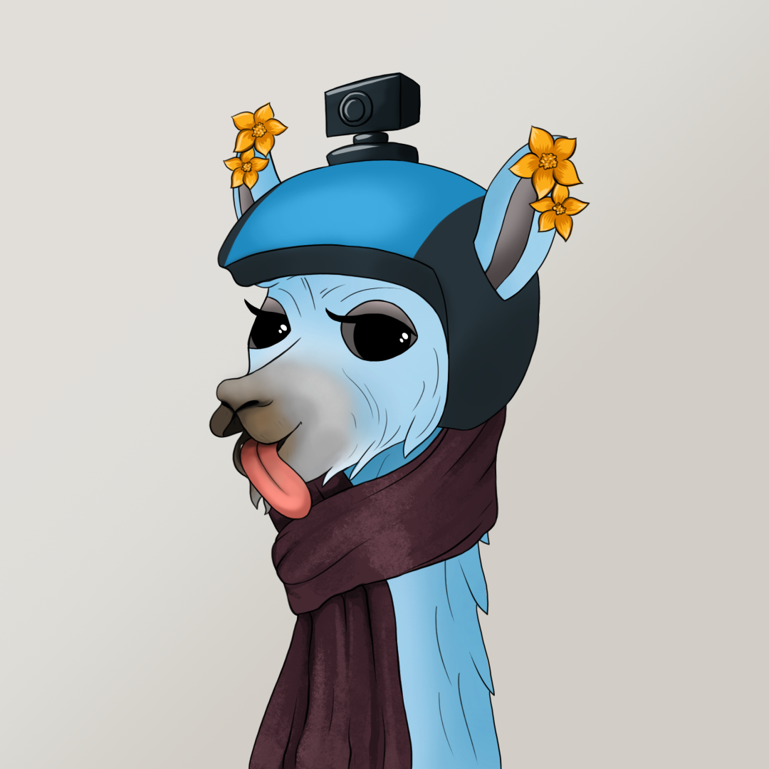 roam_llama_2