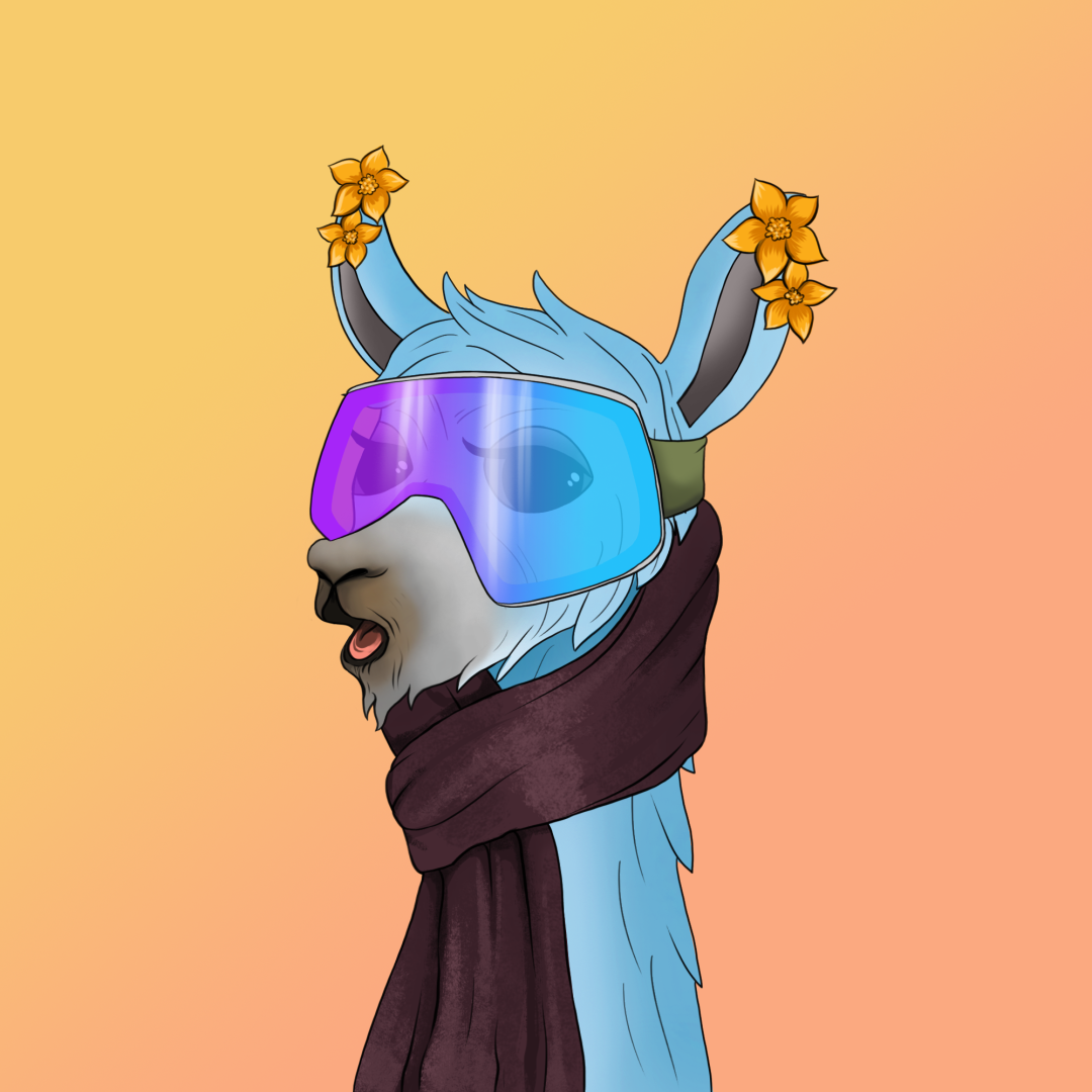 roam_llama_21