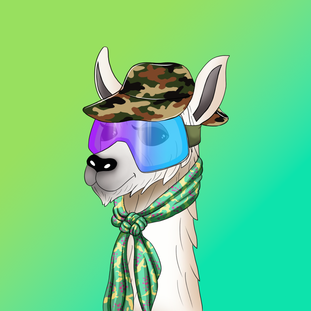 roam_llama_9